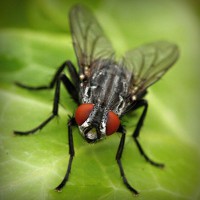 /album/tehyhetic/photolia-a01-jpg/