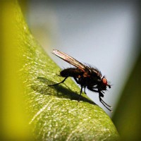 /album/tehyhetic/photolia-a04-jpg/