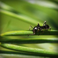/album/tehyhetic/photolia-a05-jpg/