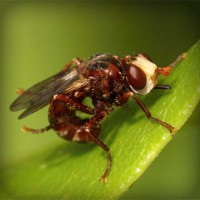 /album/tehyhetic/photolia-a06-jpg/