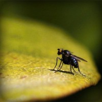 /album/tehyhetic/photolia-a07-jpg/